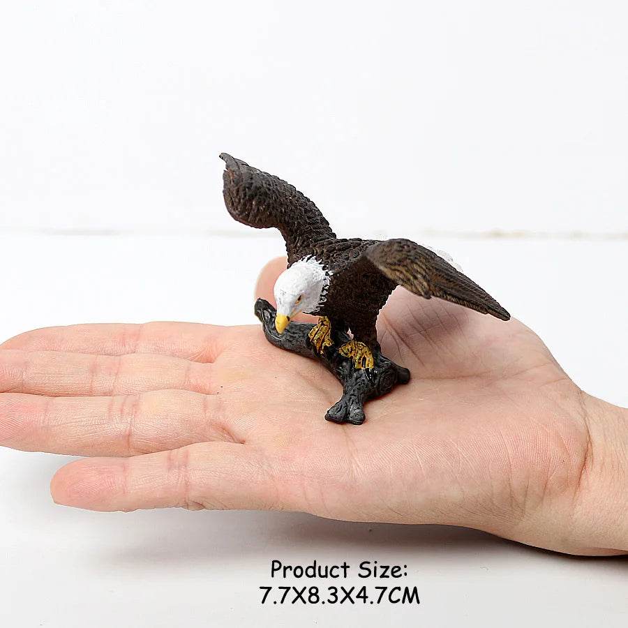 Realistic Birds Of Prey Figurines Set Educational For Kids - ToylandEU