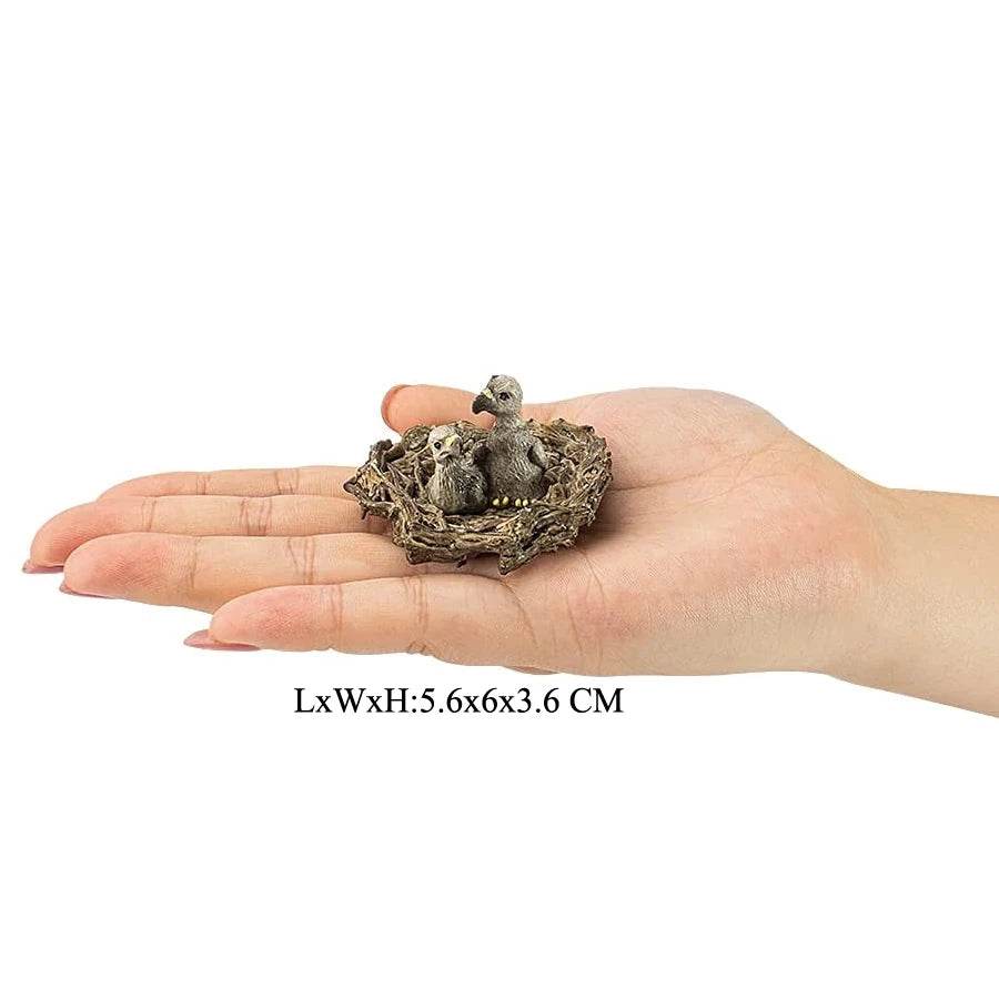 Realistic Birds Of Prey Figurines Set Educational For Kids - ToylandEU