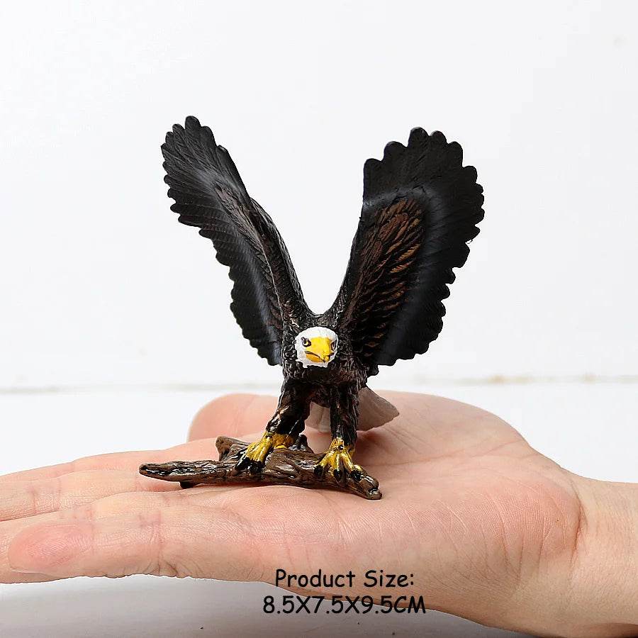 Realistic Birds Of Prey Figurines Set Educational For Kids - ToylandEU