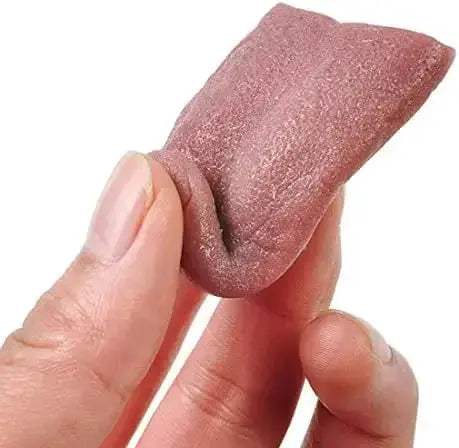 Realistic Fake Tongue Prop For Prank Magic Show Clown - ToylandEU