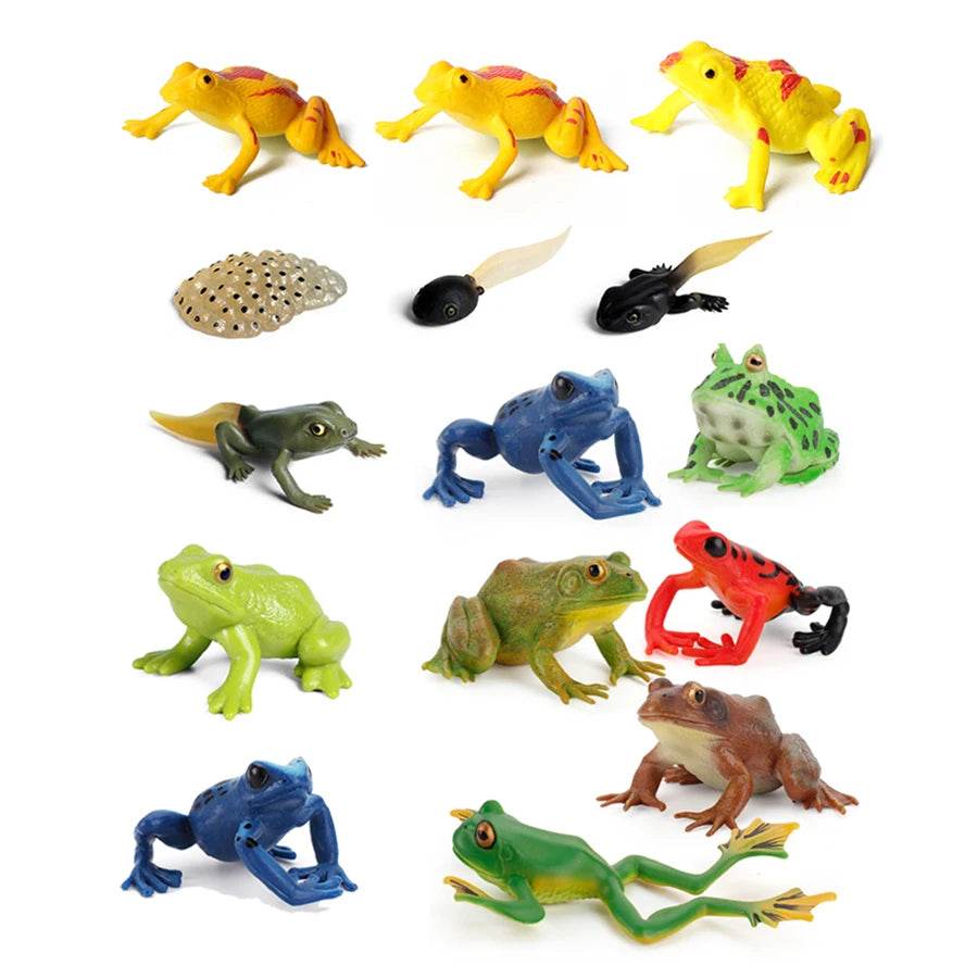 Realistic Frog Figurines Colorful Poison Dart Cake Topper - ToylandEU