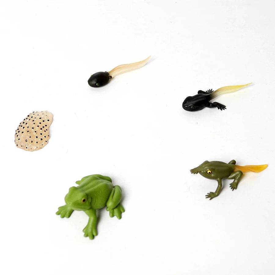 Realistic Frog Figurines Colorful Poison Dart Cake Topper - ToylandEU