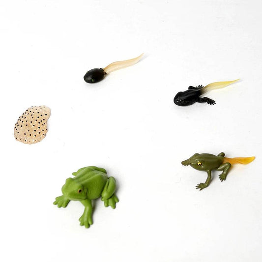 Realistic Frog Figurines Colorful Poison Dart Cake Topper - ToylandEU