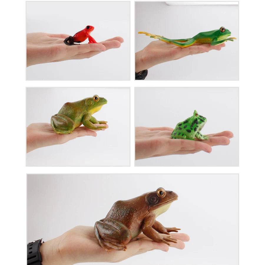 Realistic Frog Figurines Colorful Poison Dart Cake Topper - ToylandEU