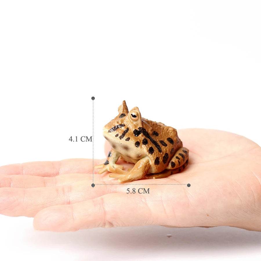 Realistic Frog Figurines Colorful Poison Dart Cake Topper - ToylandEU