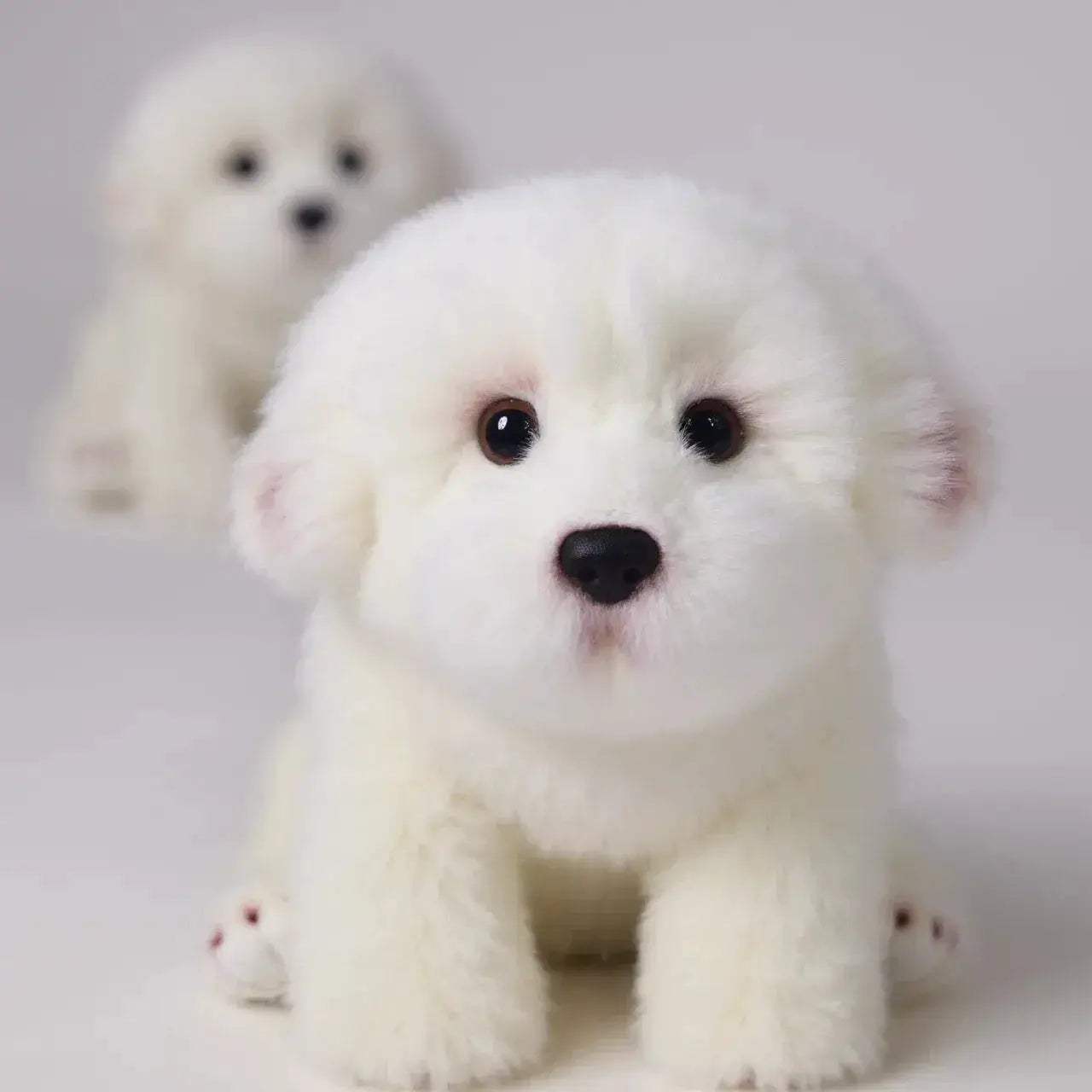 Realistic Plush Maltese Dog Toy For Snuggle Play Pillow - ToylandEU