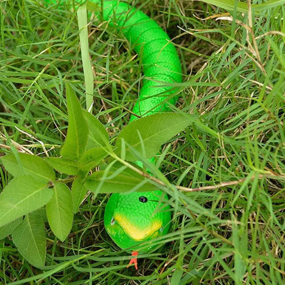  Realistic RC Snake Retractable Tongue Toy Toyland EU -  ToylandEU™