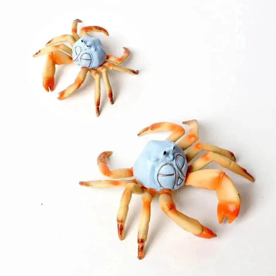  Realistic Sea Life Figurines Display Toyland EU -  ToylandEU™
