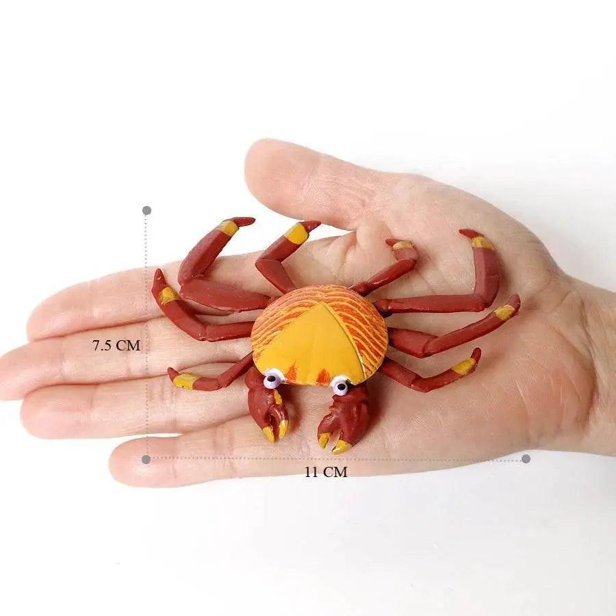  Realistic Sea Life Figurines Display Toyland EU -  ToylandEU™