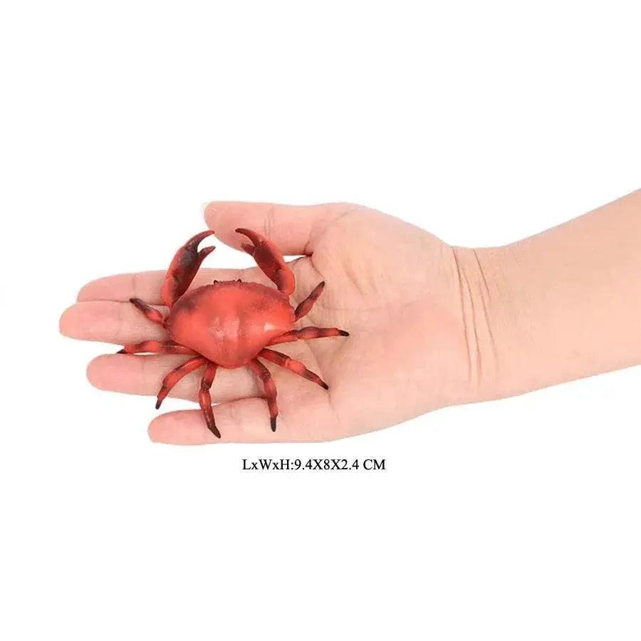  Realistic Sea Life Figurines Display Toyland EU -  ToylandEU™