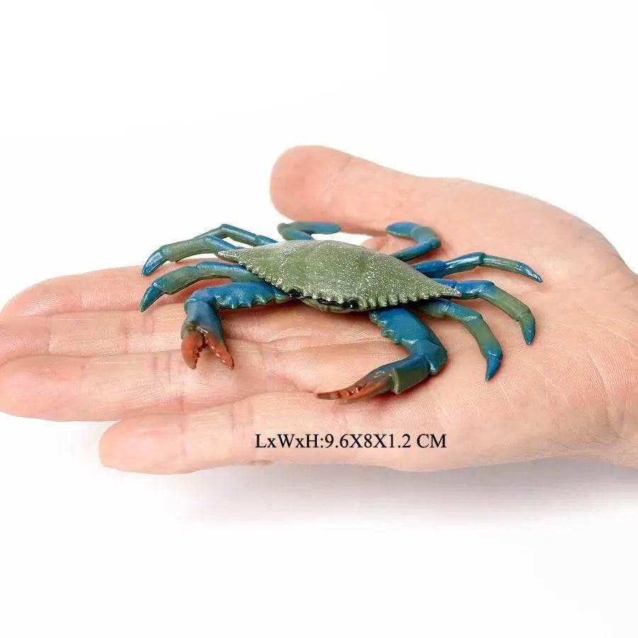  Realistic Sea Life Figurines Display Toyland EU -  ToylandEU™
