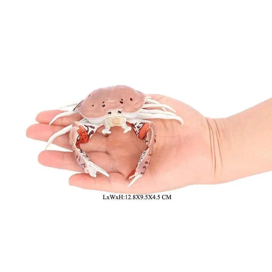  Realistic Sea Life Figurines Display Toyland EU -  ToylandEU™