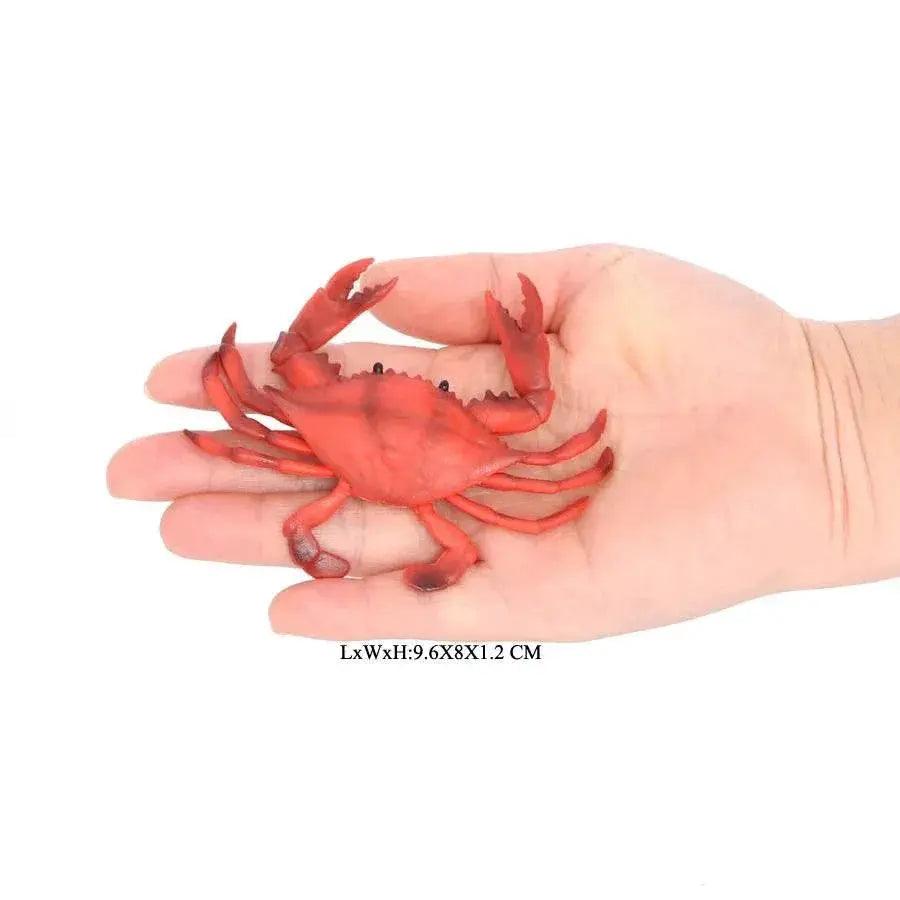  Realistic Sea Life Figurines Display Toyland EU -  ToylandEU™