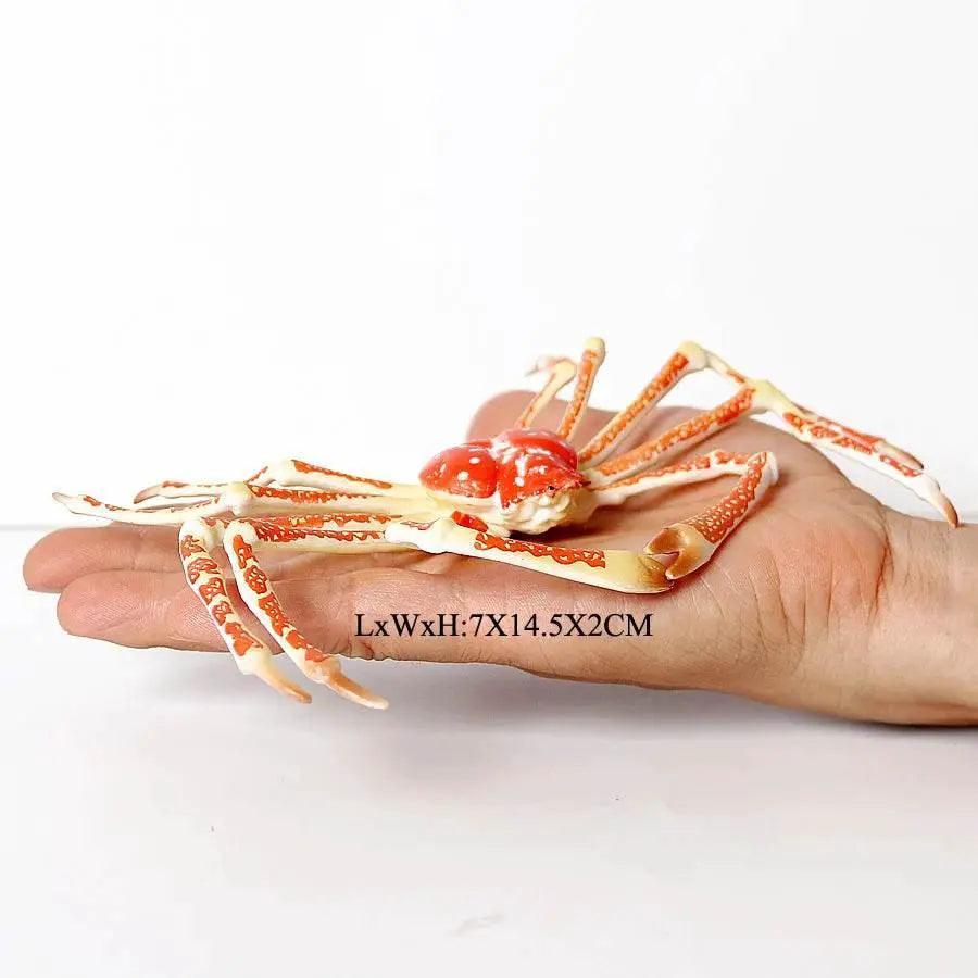  Realistic Sea Life Figurines Display Toyland EU -  ToylandEU™