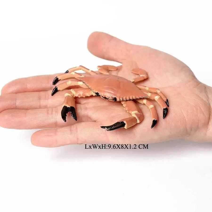  Realistic Sea Life Figurines Display Toyland EU -  ToylandEU™