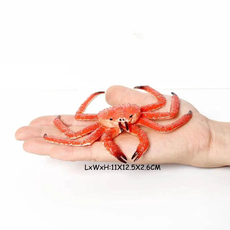  Realistic Sea Life Figurines Display Toyland EU -  ToylandEU™