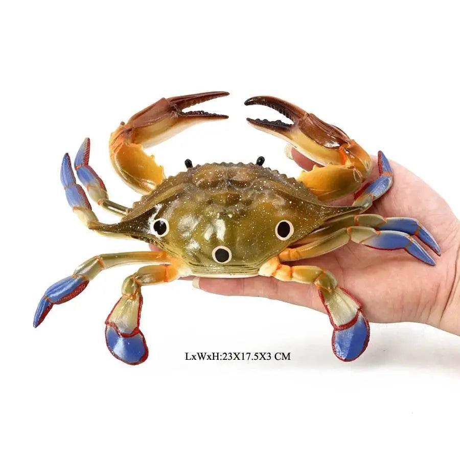  Realistic Sea Life Figurines Display Toyland EU -  ToylandEU™