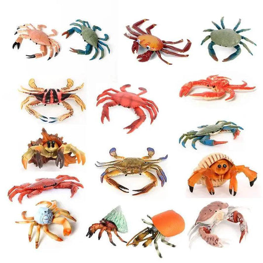  Realistic Sea Life Figurines Display Toyland EU -  ToylandEU™