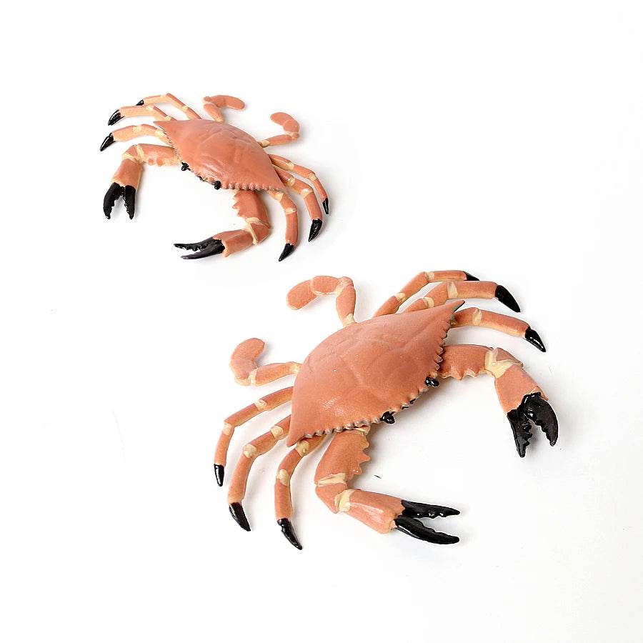 Realistic Sea Life Figurines Hermit Crab King Crab Display - ToylandEU