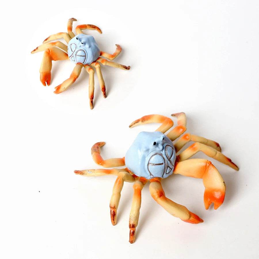 Realistic Sea Life Figurines Hermit Crab King Crab Display - ToylandEU