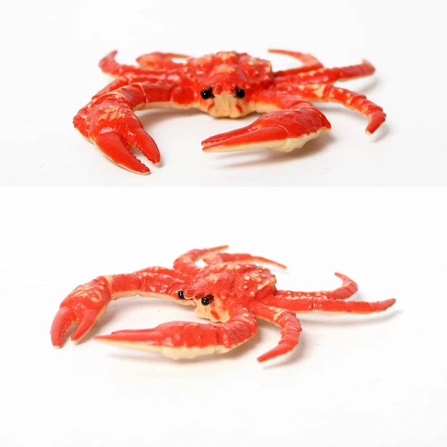 Realistic Sea Life Figurines Hermit Crab King Crab Display - ToylandEU