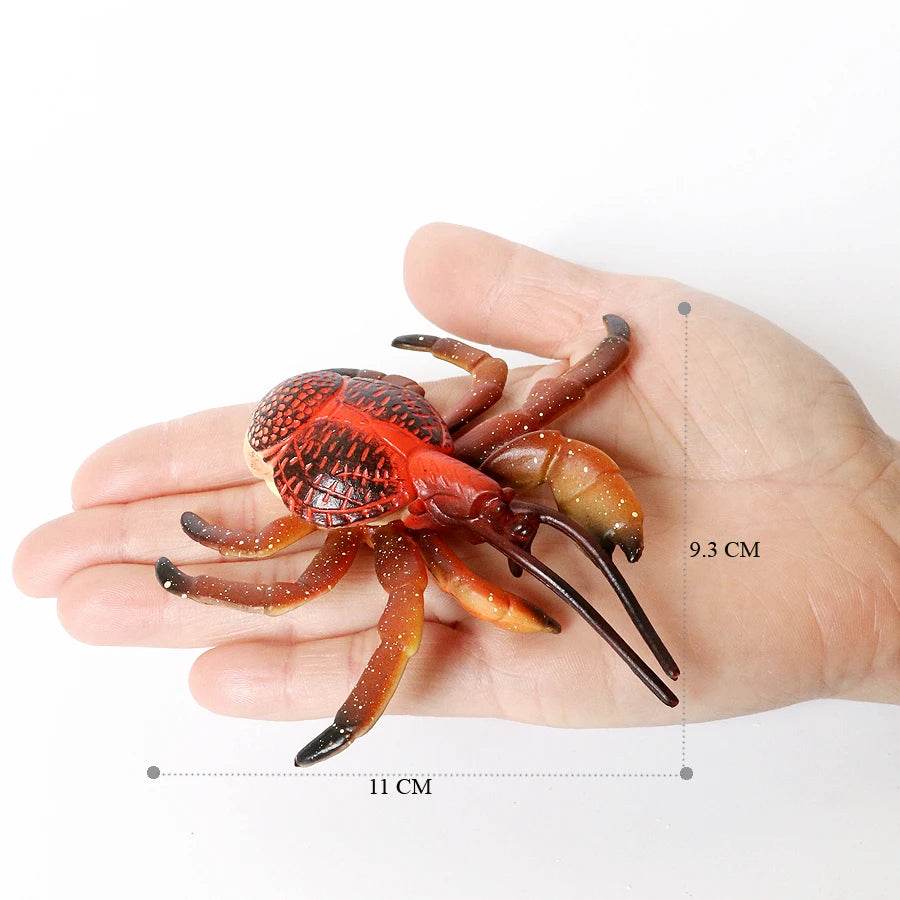 Realistic Sea Life Figurines Hermit Crab King Crab Display - ToylandEU