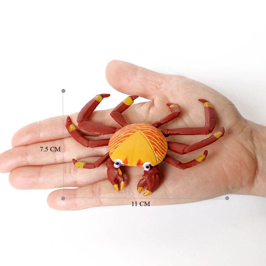 Realistic Sea Life Figurines Hermit Crab King Crab Display - ToylandEU