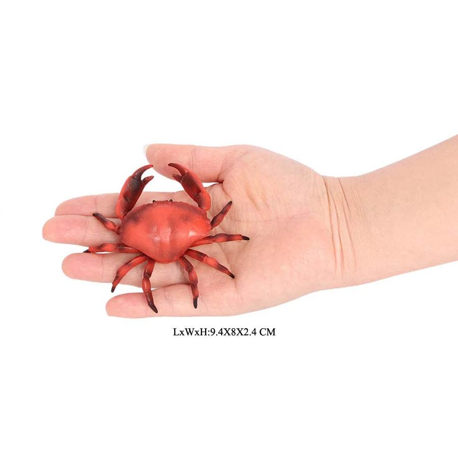 Realistic Sea Life Figurines Hermit Crab King Crab Display - ToylandEU