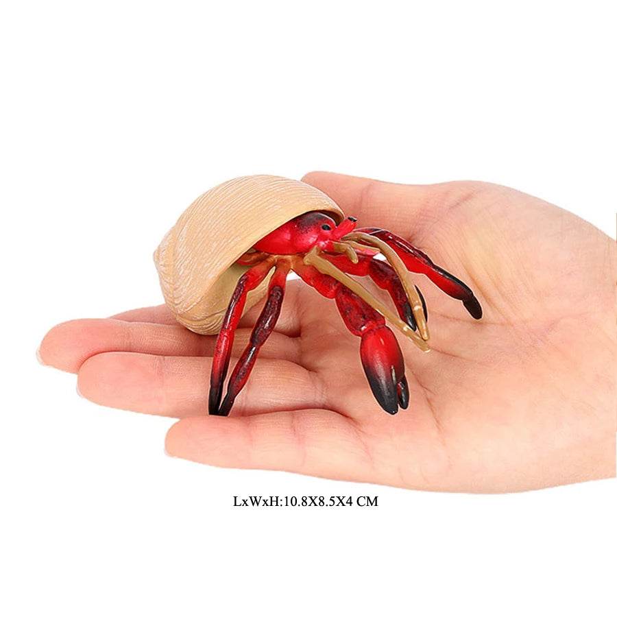 Realistic Sea Life Figurines Hermit Crab King Crab Display - ToylandEU