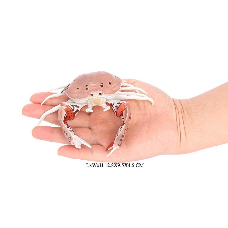 Realistic Sea Life Figurines Hermit Crab King Crab Display - ToylandEU