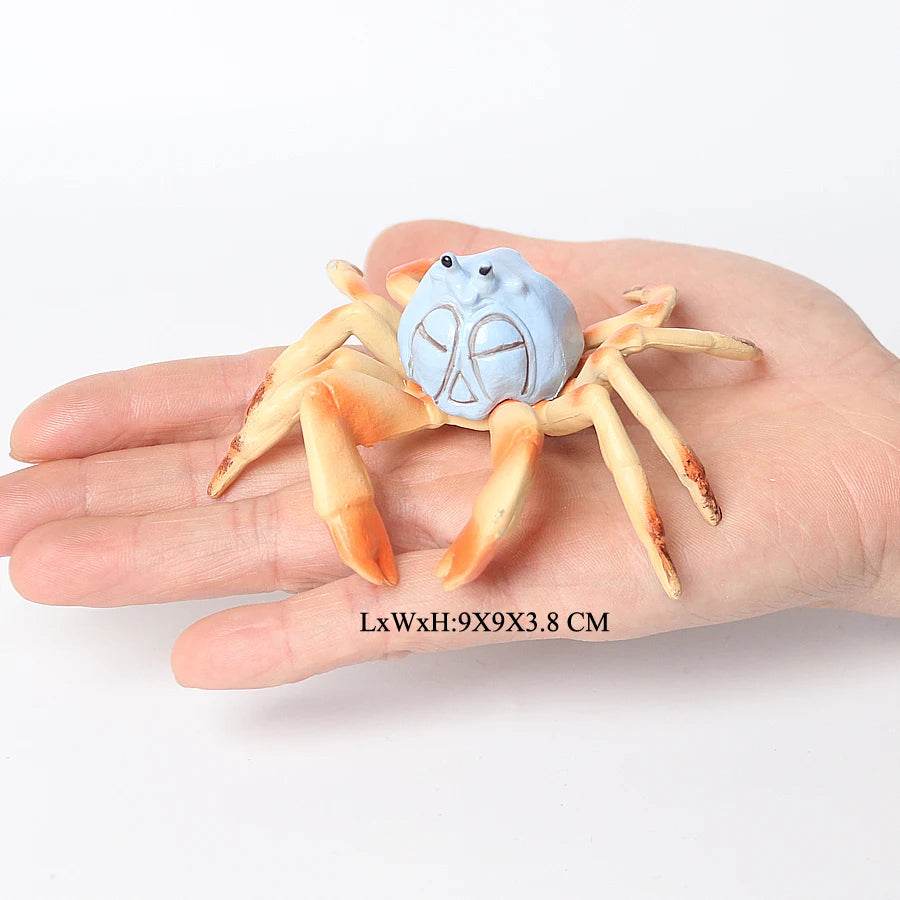 Realistic Sea Life Figurines Hermit Crab King Crab Display - ToylandEU