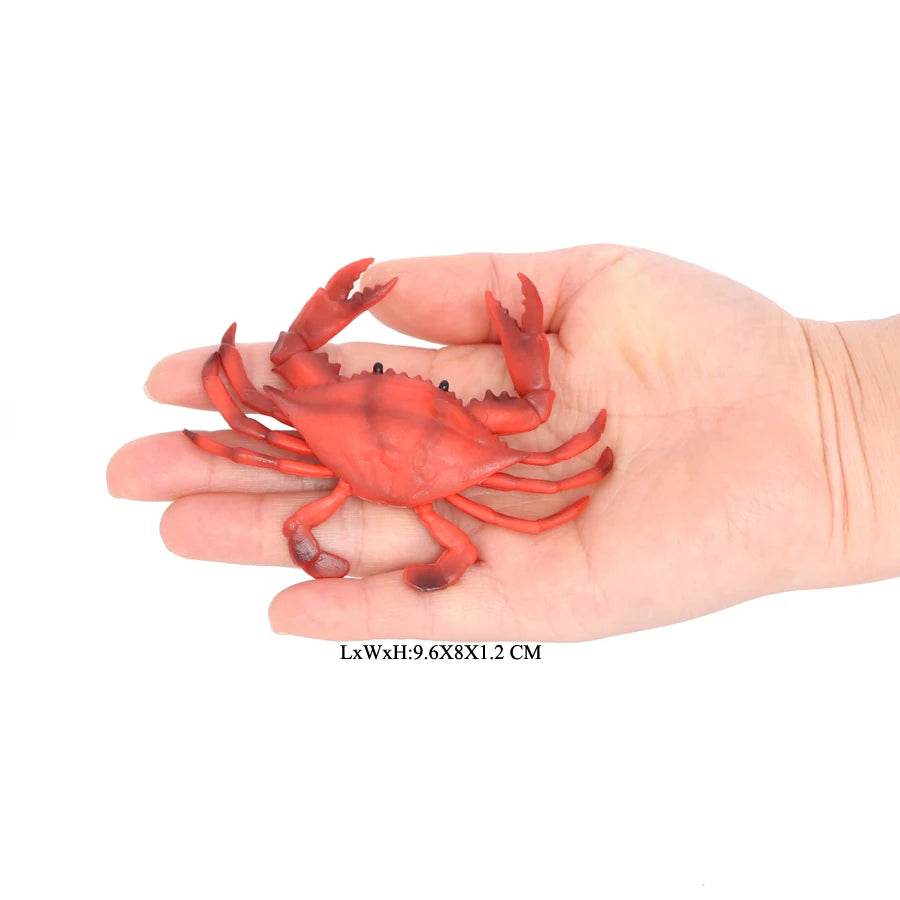 Realistic Sea Life Figurines Hermit Crab King Crab Display - ToylandEU