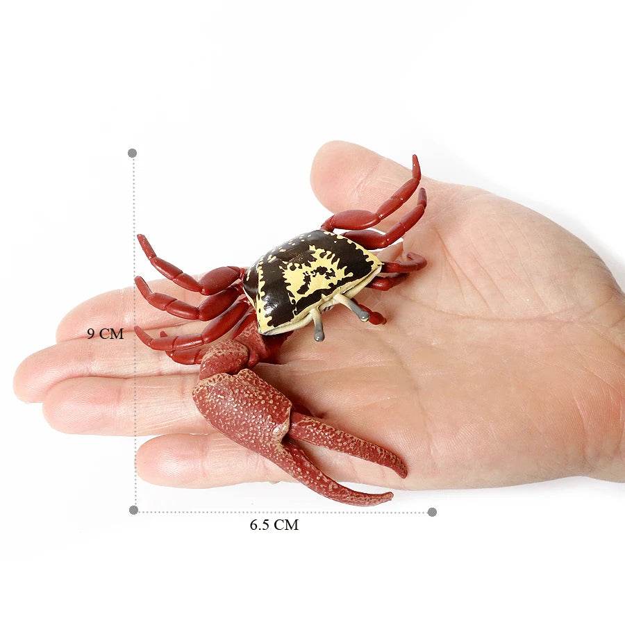 Realistic Sea Life Figurines Hermit Crab King Crab Display - ToylandEU