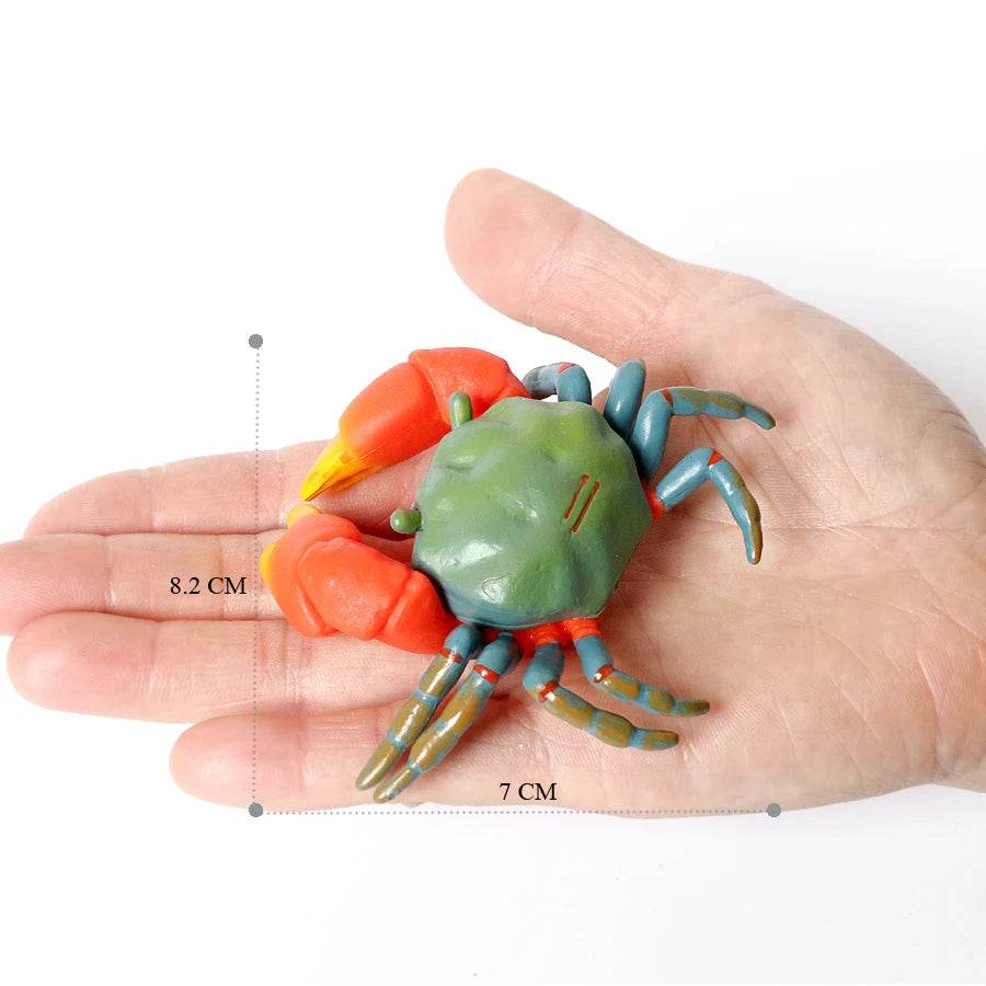Realistic Sea Life Figurines Hermit Crab King Crab Display - ToylandEU