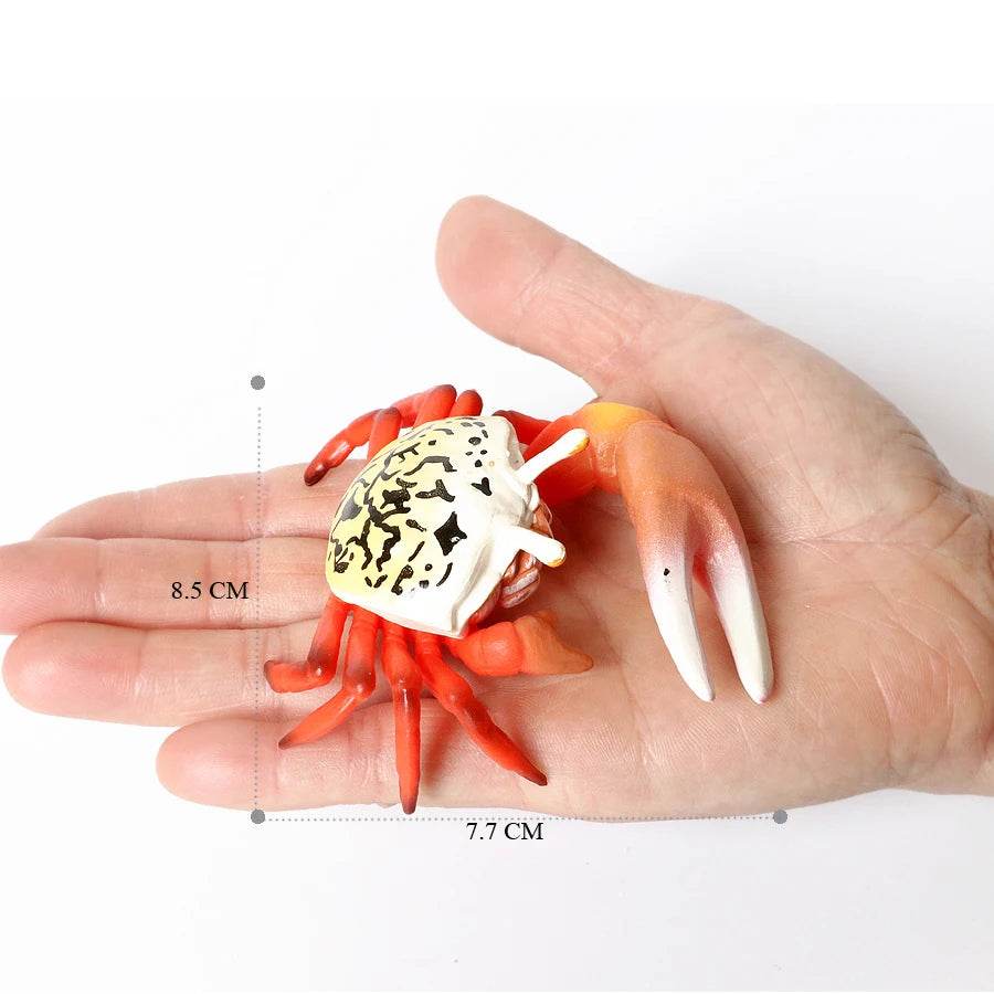 Realistic Sea Life Figurines Hermit Crab King Crab Display - ToylandEU