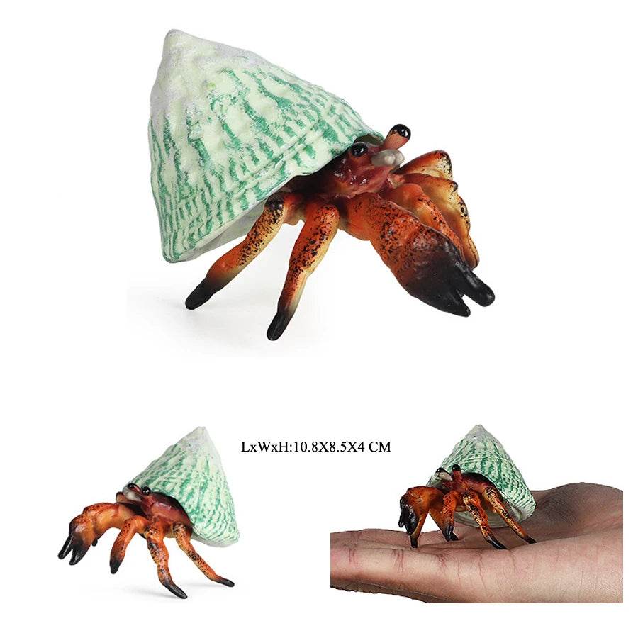 Realistic Sea Life Figurines Hermit Crab King Crab Display - ToylandEU