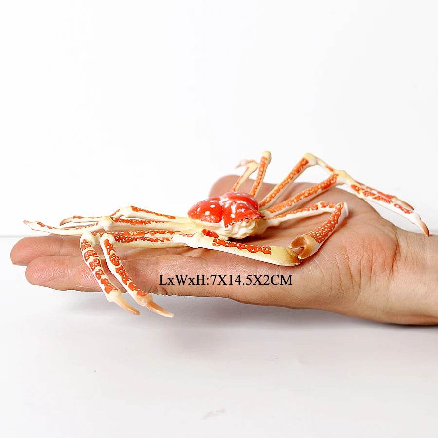 Realistic Sea Life Figurines Hermit Crab King Crab Display - ToylandEU
