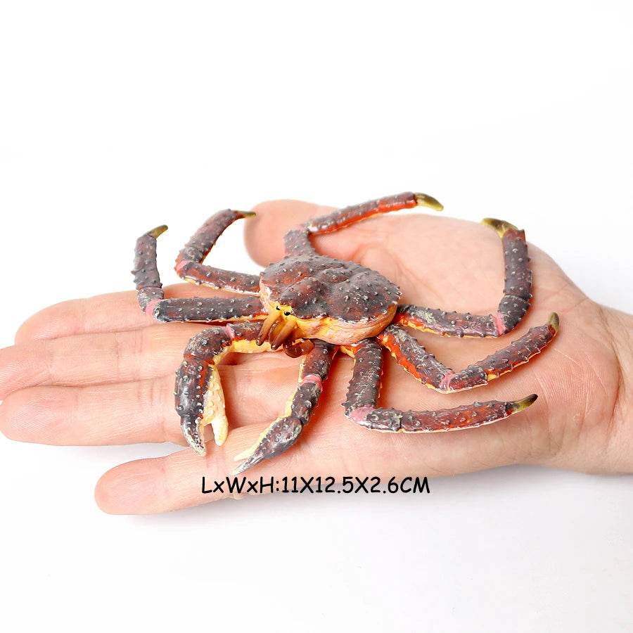 Realistic Sea Life Figurines Hermit Crab King Crab Display - ToylandEU