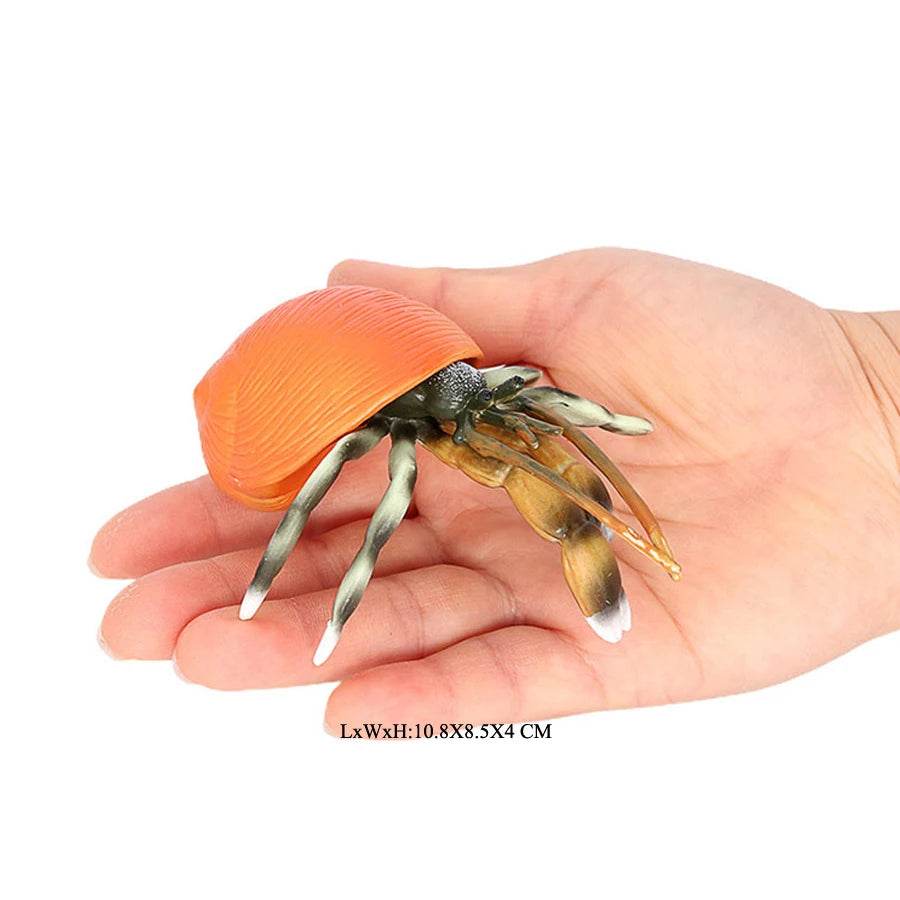 Realistic Sea Life Figurines Hermit Crab King Crab Display - ToylandEU