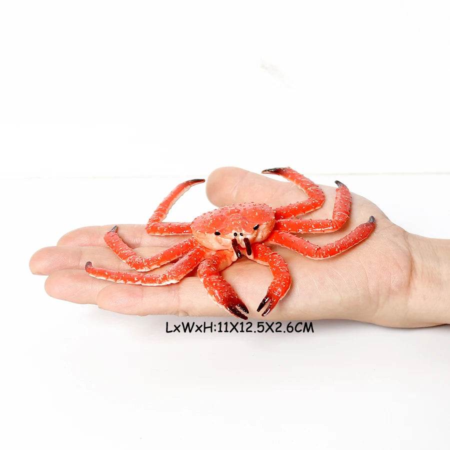 Realistic Sea Life Figurines Hermit Crab King Crab Display - ToylandEU