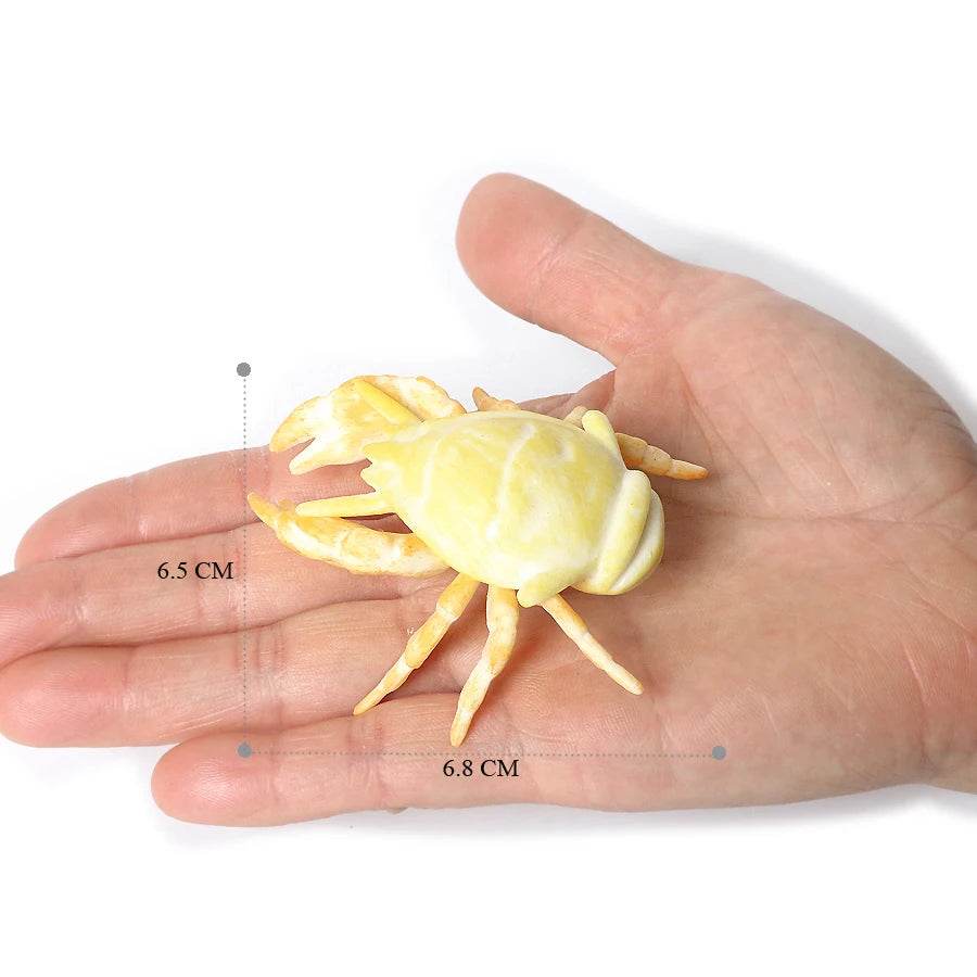 Realistic Sea Life Figurines Hermit Crab King Crab Display - ToylandEU