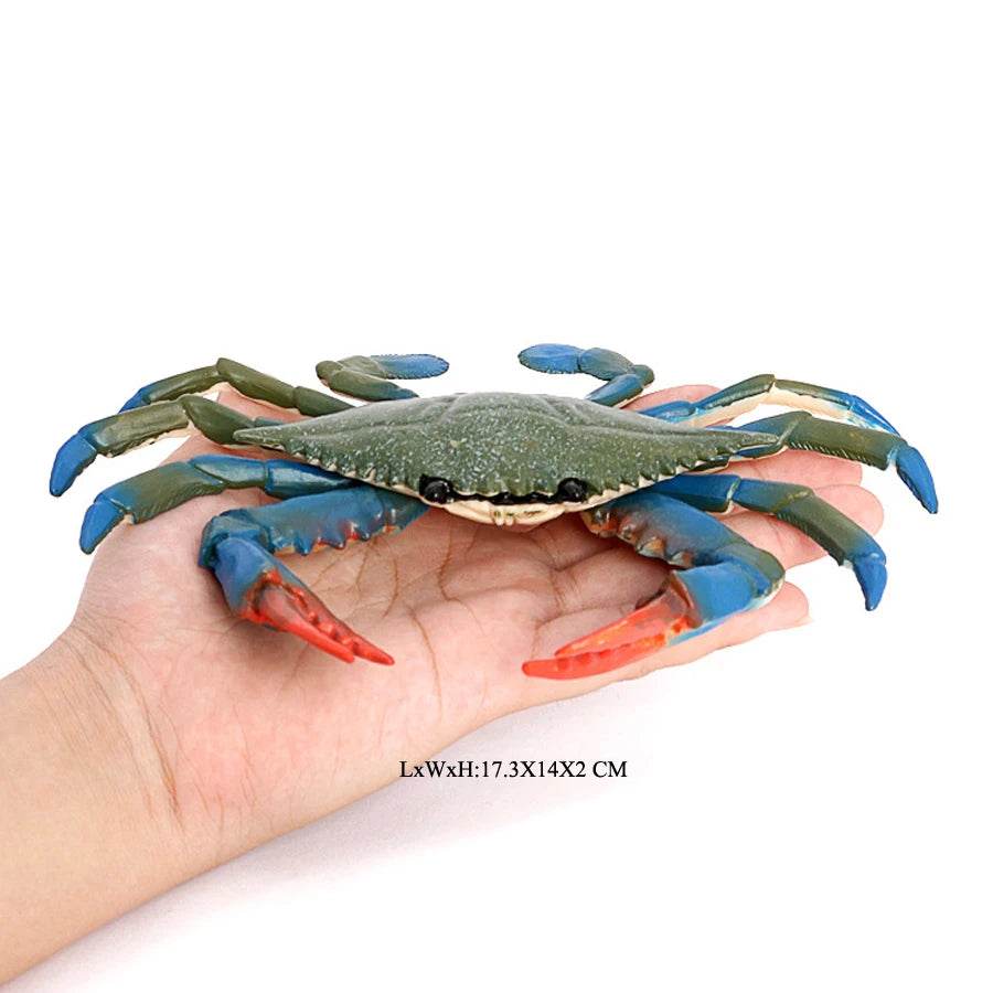 Realistic Sea Life Figurines Hermit Crab King Crab Display - ToylandEU