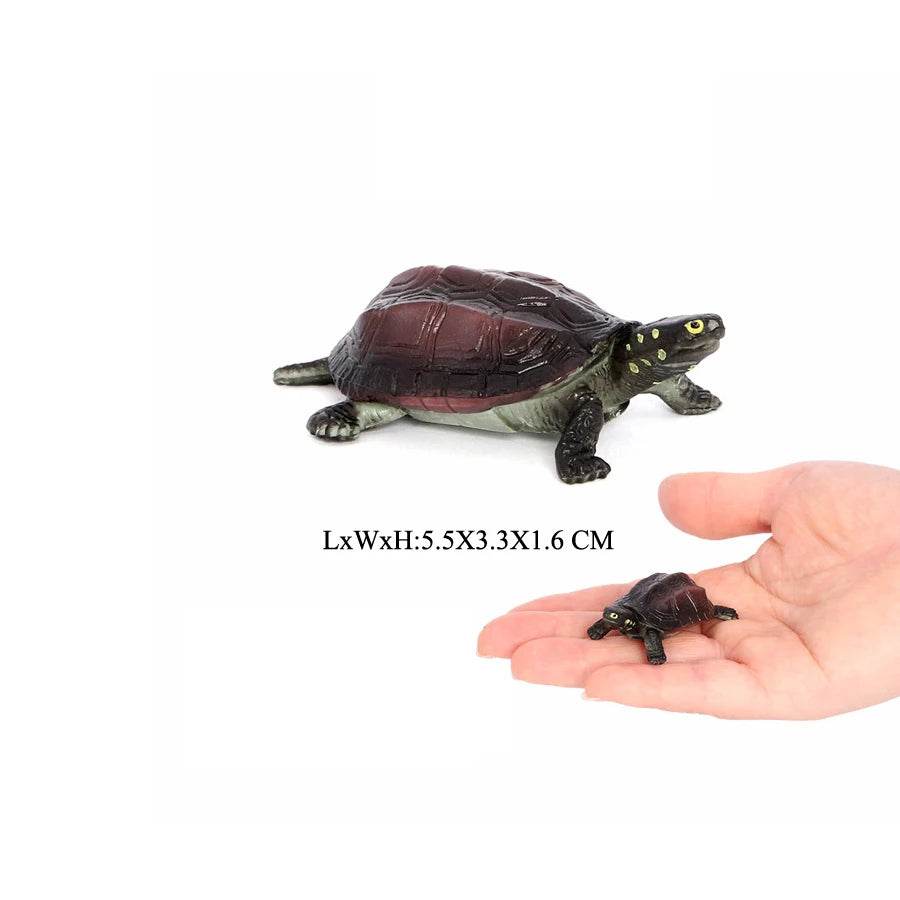 Realistic Sea Turtle Figurines Lifelike Detail Party Decor - ToylandEU