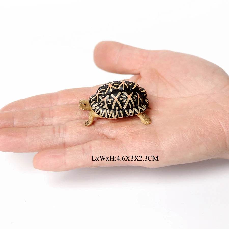 Realistic Sea Turtle Figurines Lifelike Detail Party Decor - ToylandEU