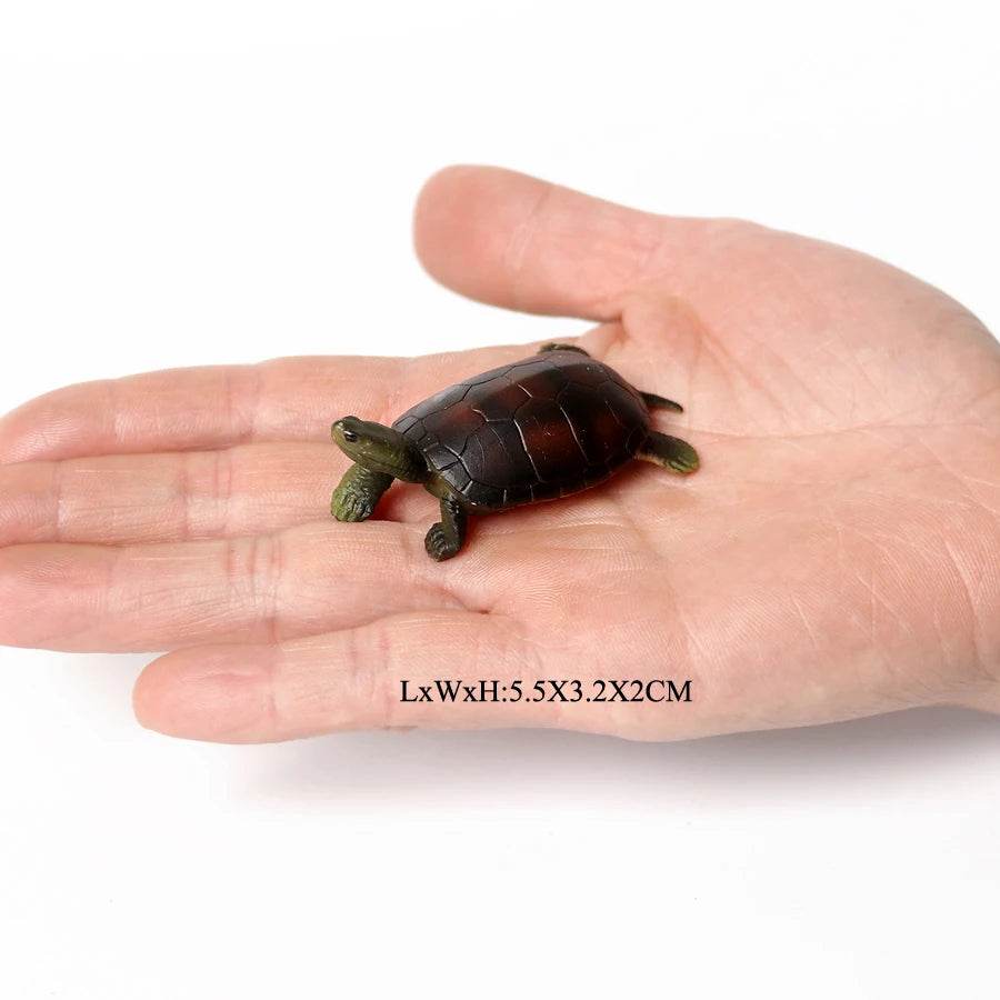 Realistic Sea Turtle Figurines Lifelike Detail Party Decor - ToylandEU