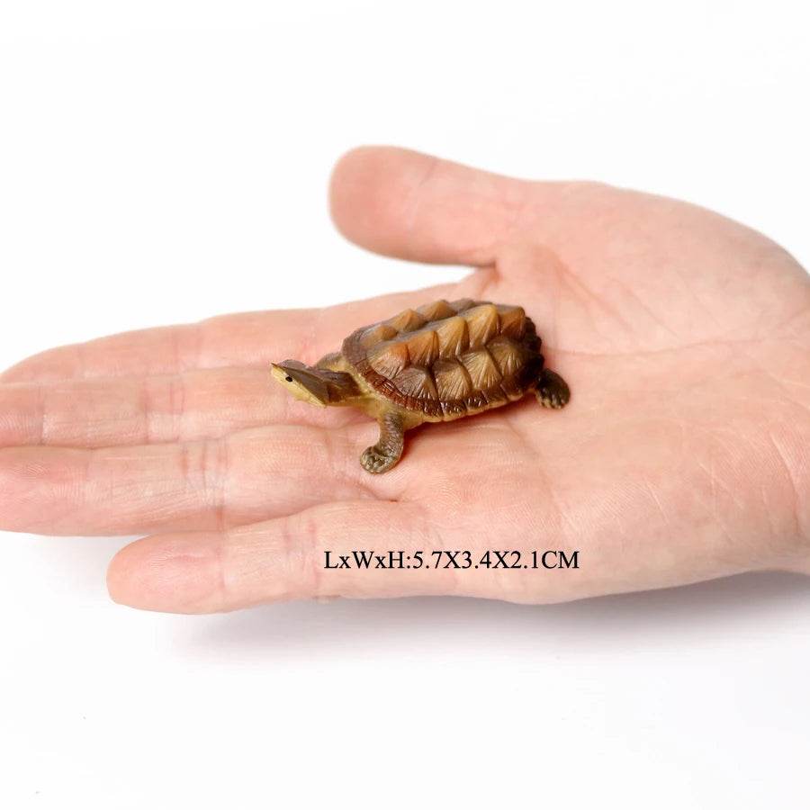 Realistic Sea Turtle Figurines Lifelike Detail Party Decor - ToylandEU