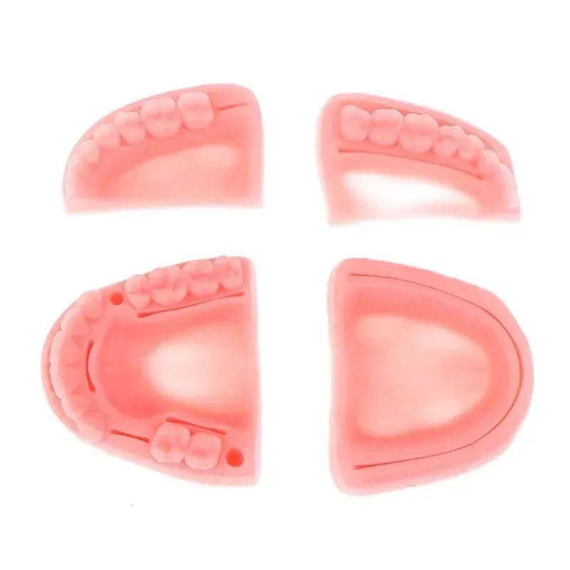 Realistic Silicone Dental Suture Training Kit For Practice - ToylandEU