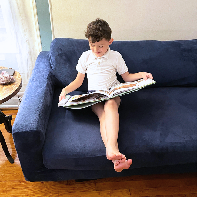 Recordable Book Buddy | Improved Sound Quality | Toylandeu™