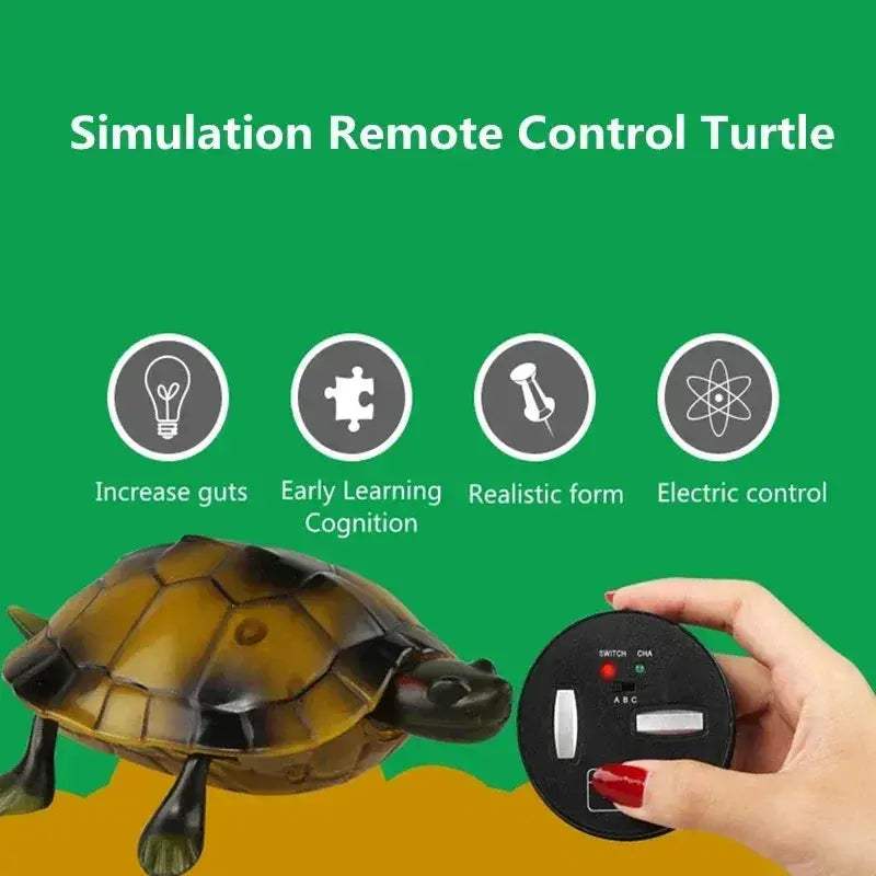Remote Control Turtle RC Toy With Eye Lights For Learning - ToylandEU