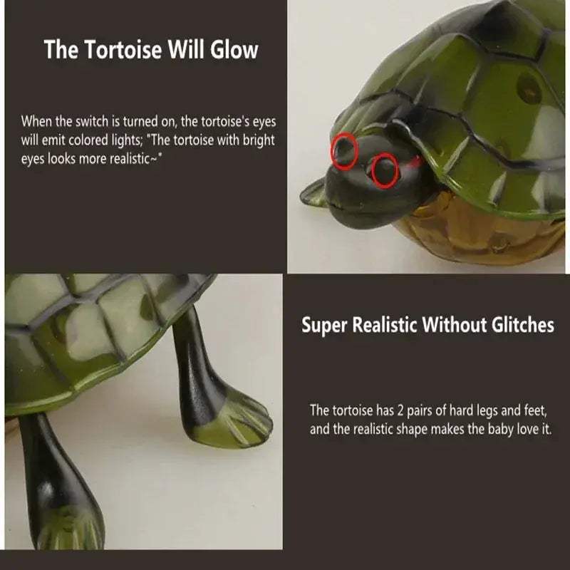 Remote Control Turtle RC Toy With Eye Lights For Learning - ToylandEU